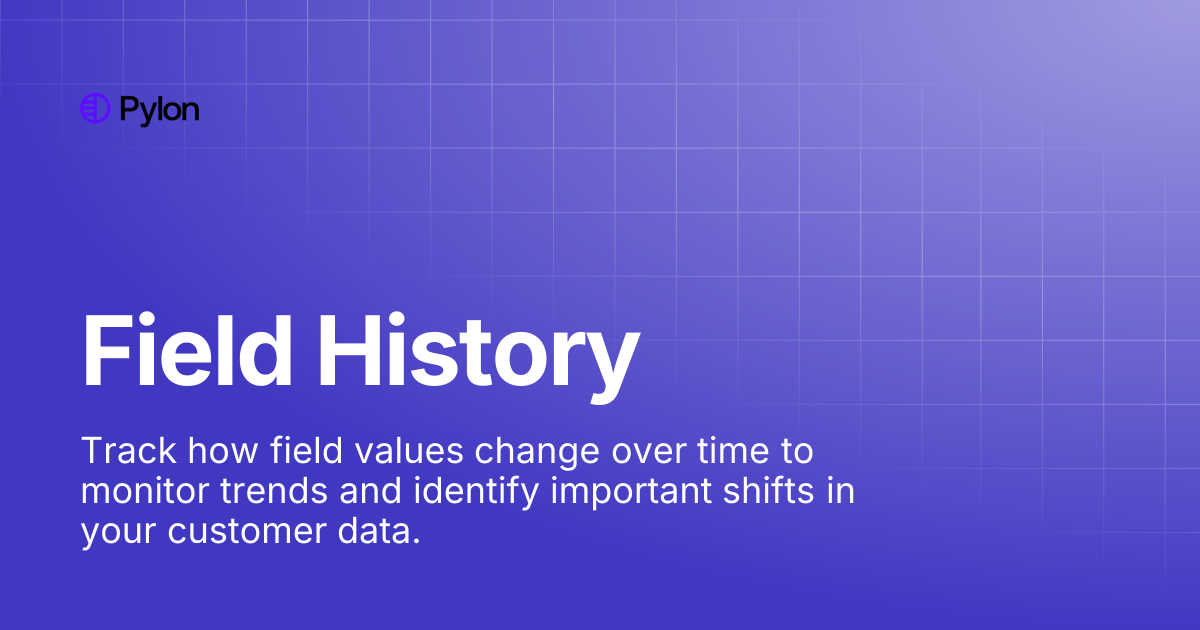 Field History | Pylon